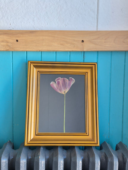 Cadre floral - Tulipe rose