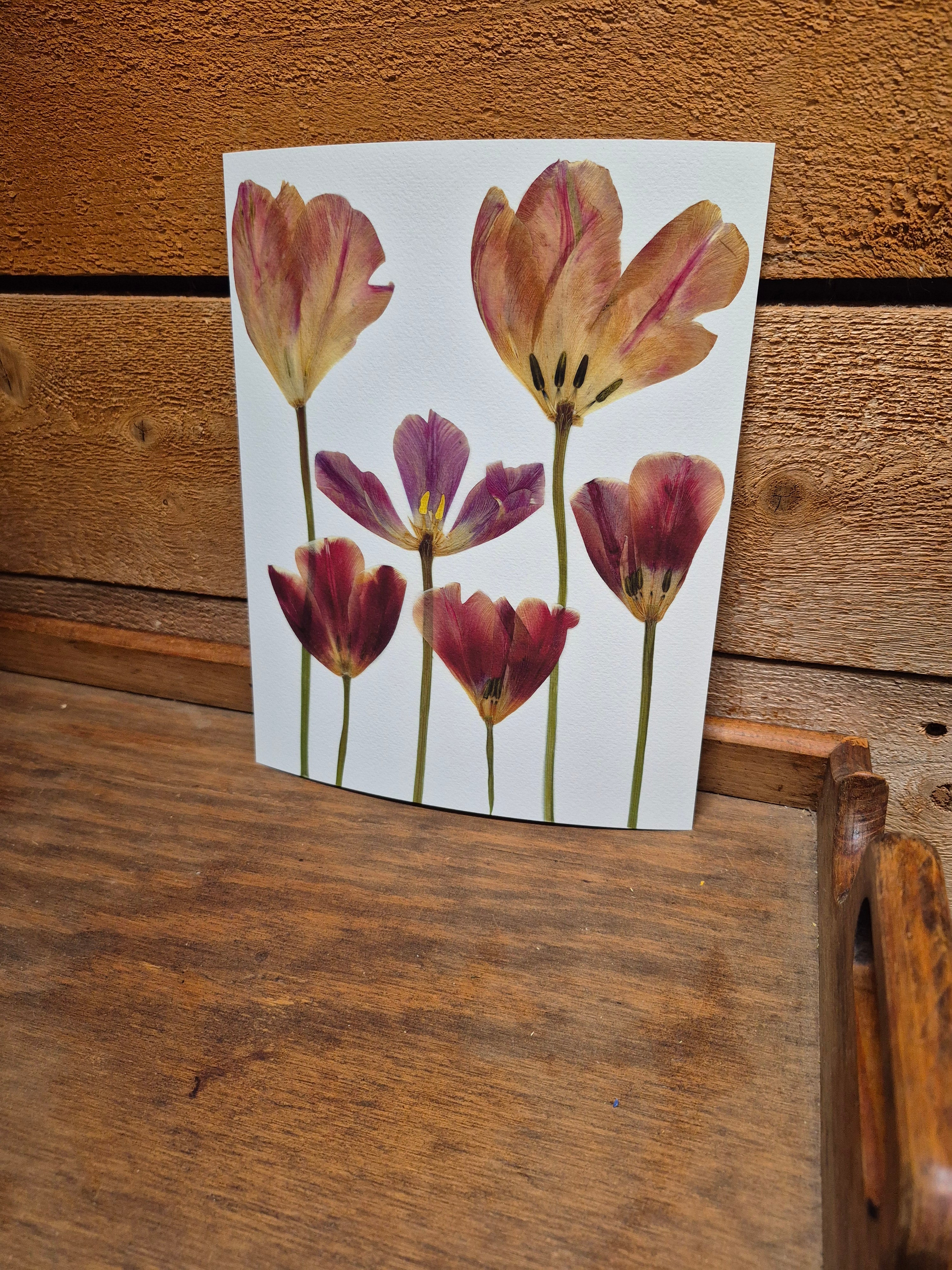 Oeuvre florale - Simplement Tulipes