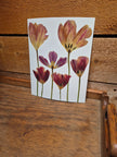 Oeuvre florale - Simplement Tulipes