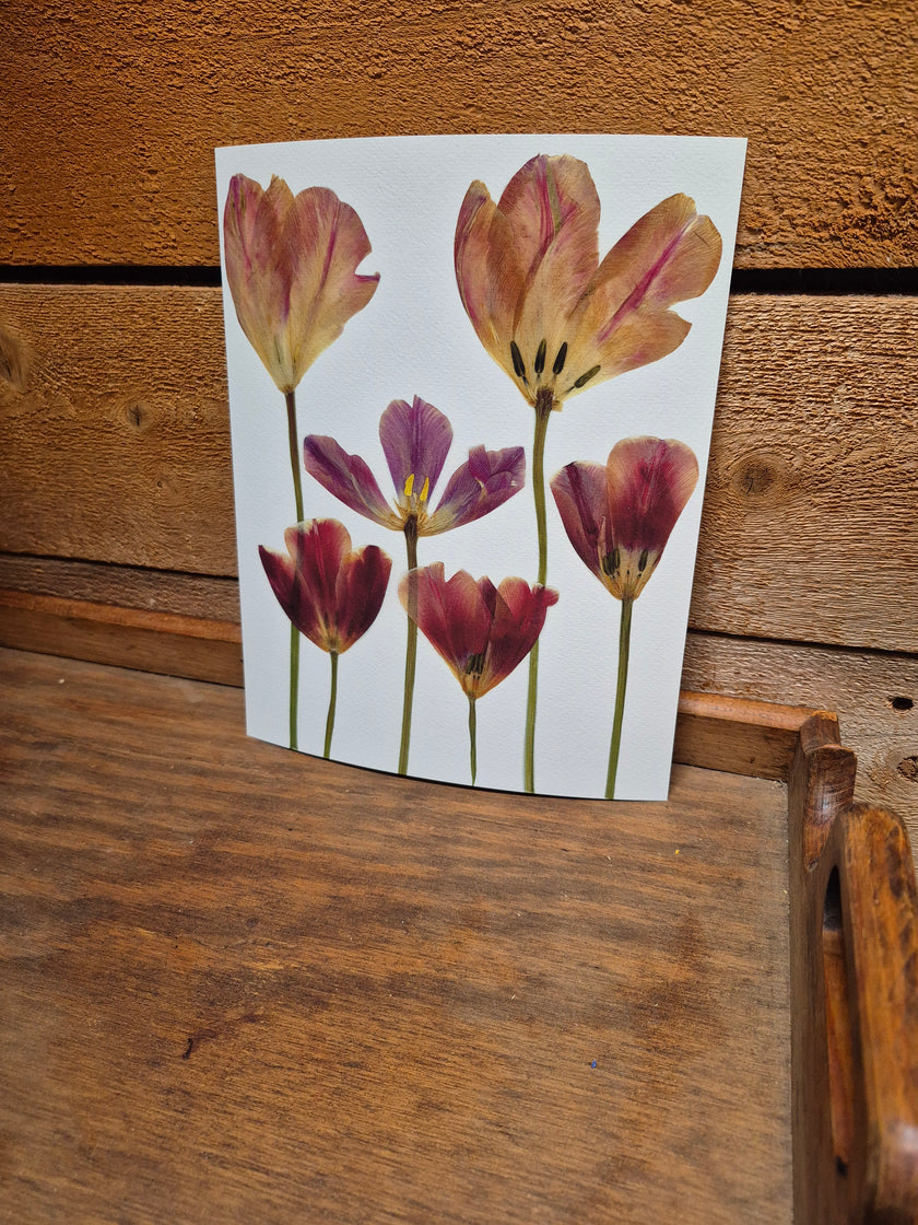 Oeuvre florale - Simplement Tulipes
