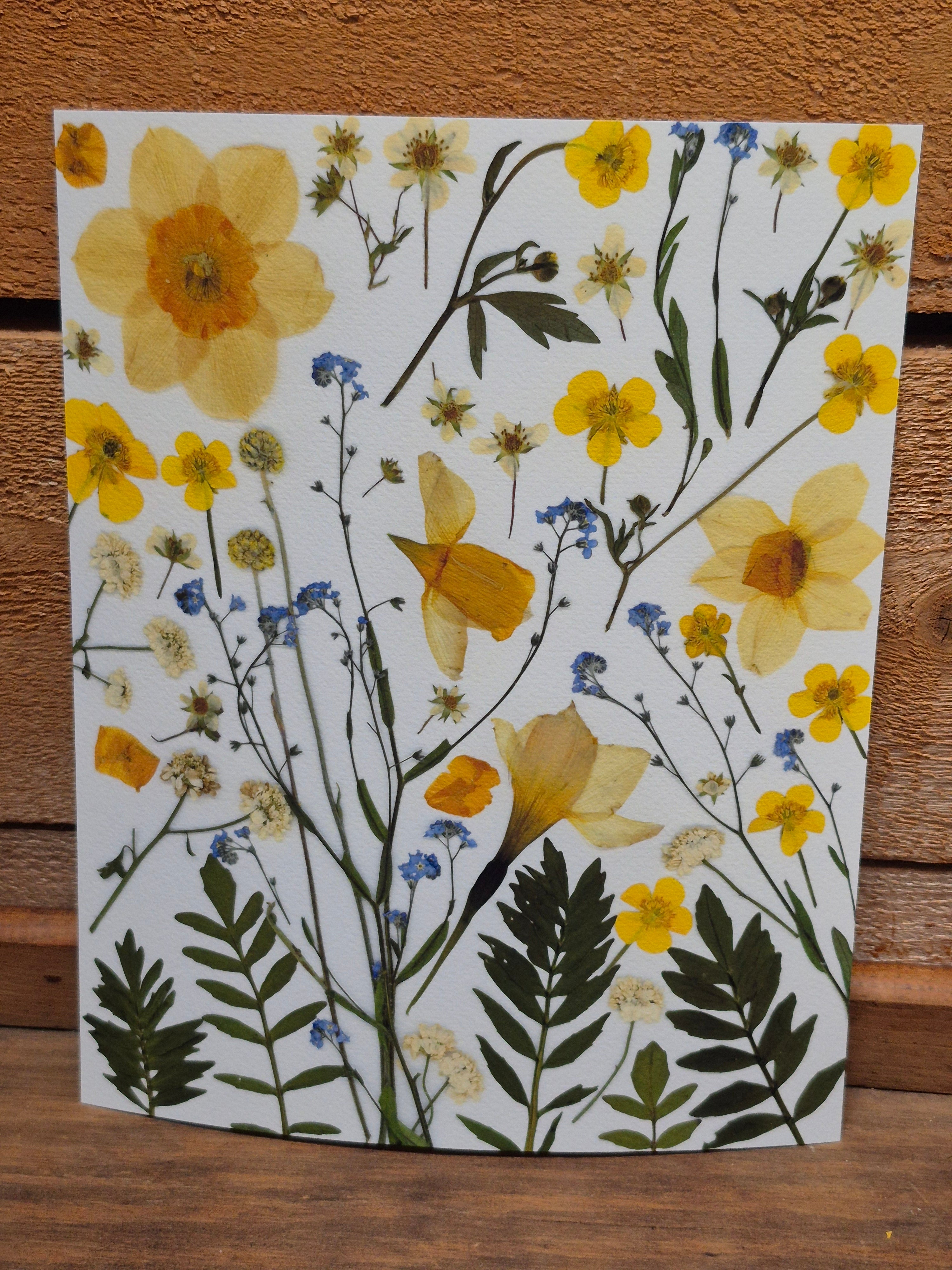 Oeuvre florale - Champ fleuri variation 1