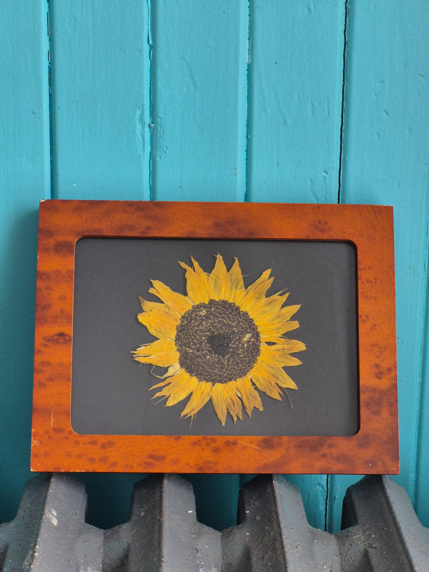 Cadre floral Tournesol