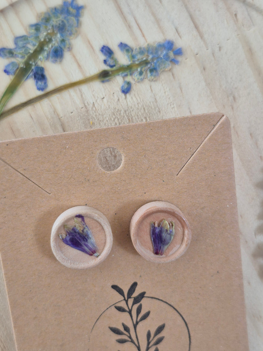 Boucle d'oreilles 