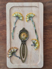 Marque-page vintage - Tussilage