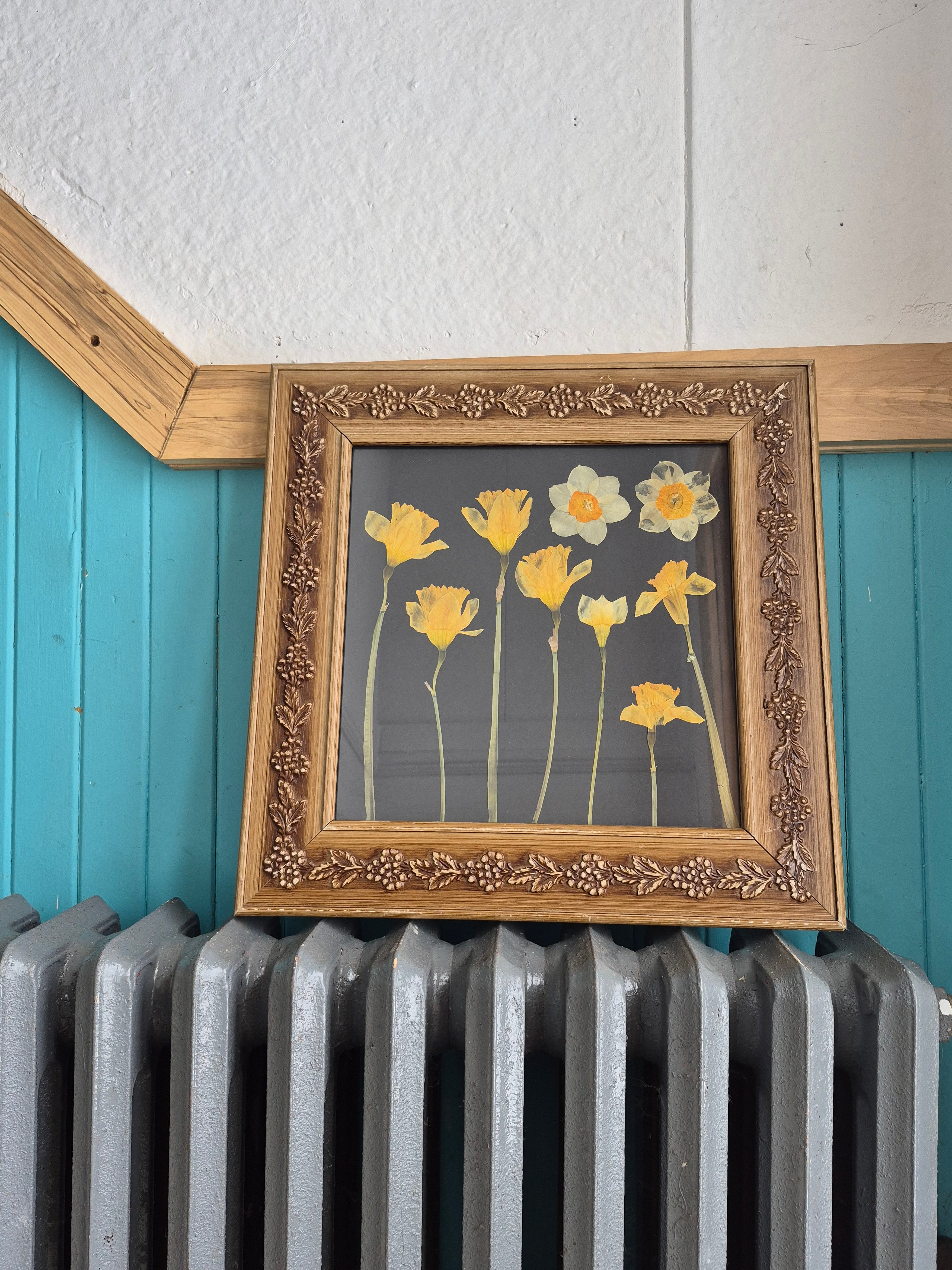 Cadre floral Champ de jonquilles