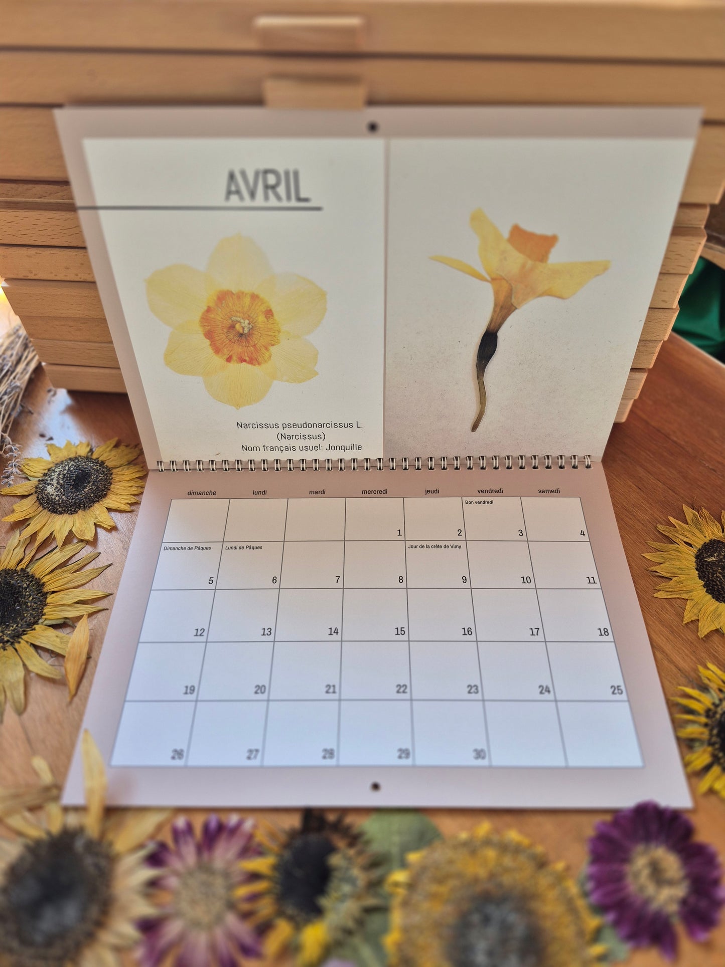 Calendrier 2026 - version botanique