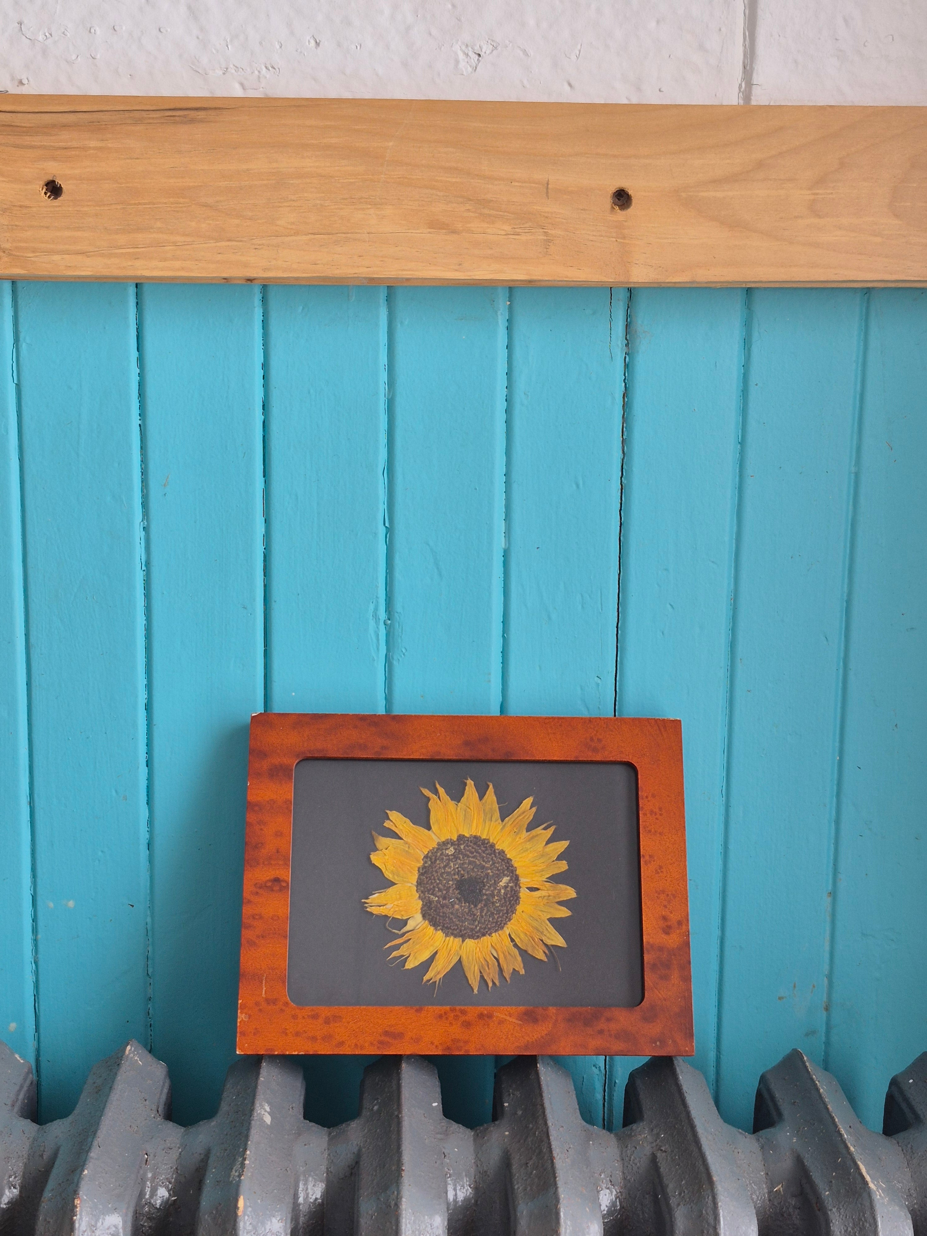 Cadre floral Tournesol