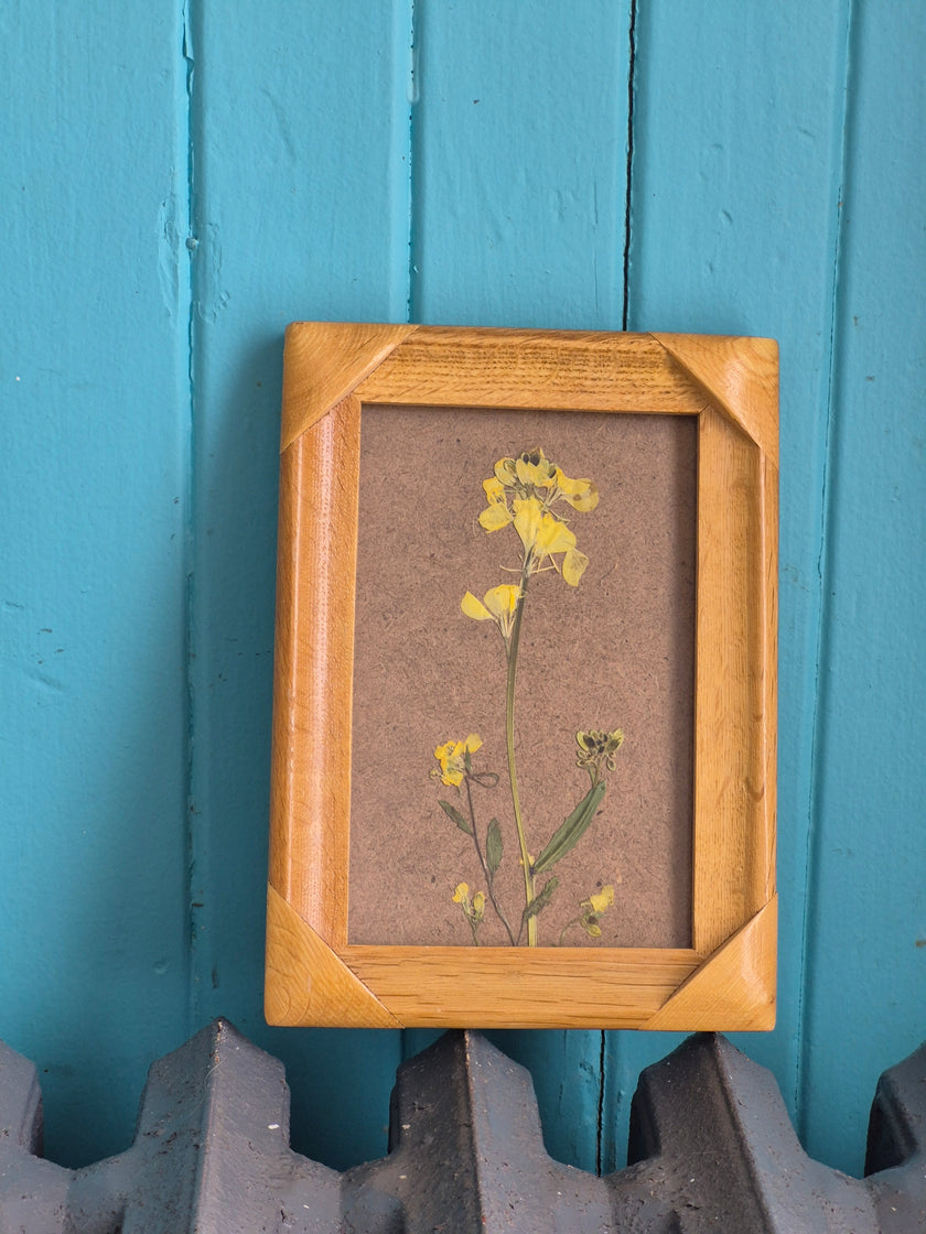 Cadre floral Fleurs jaunes
