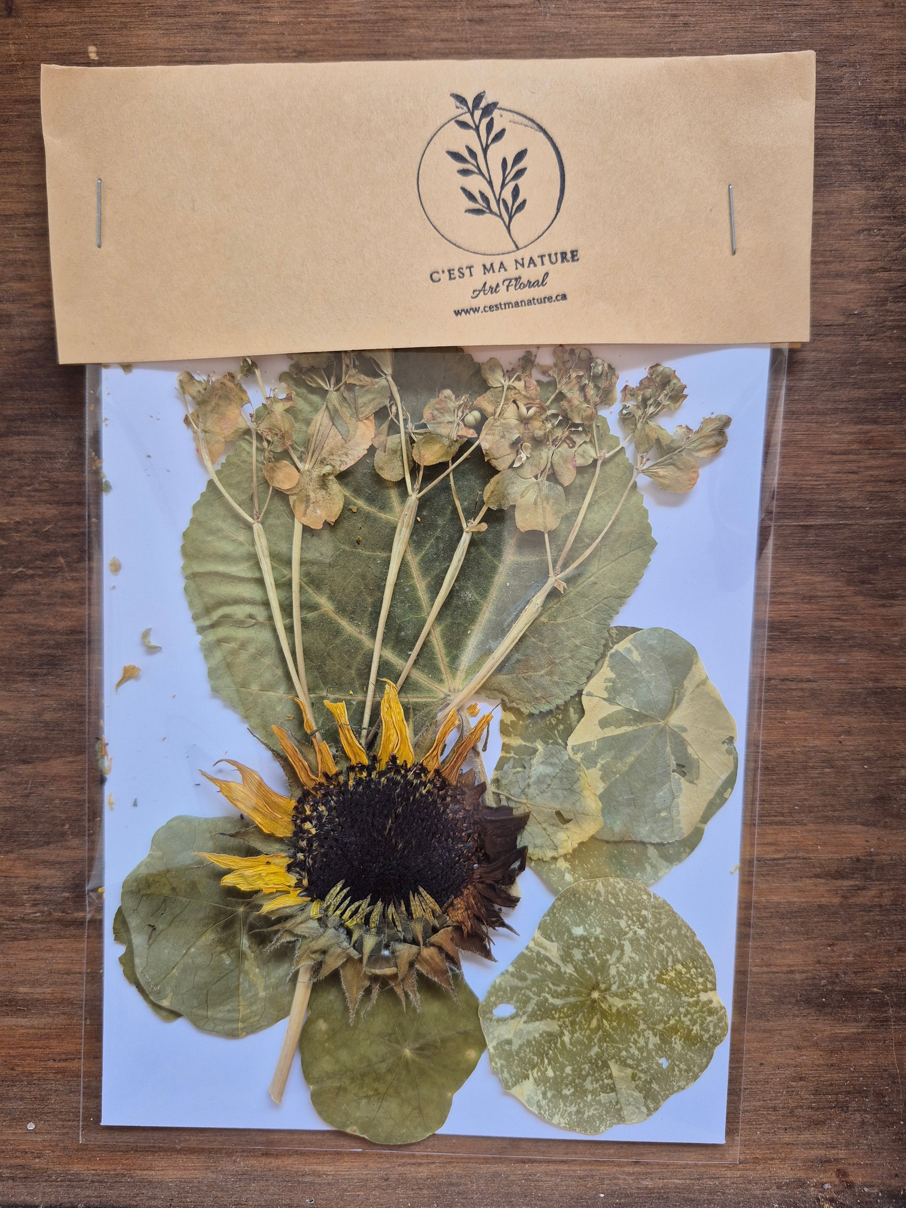 Sachets de fleurs pressées naturelles