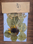 Sachets de fleurs pressées naturelles