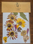 Sachets de fleurs pressées naturelles