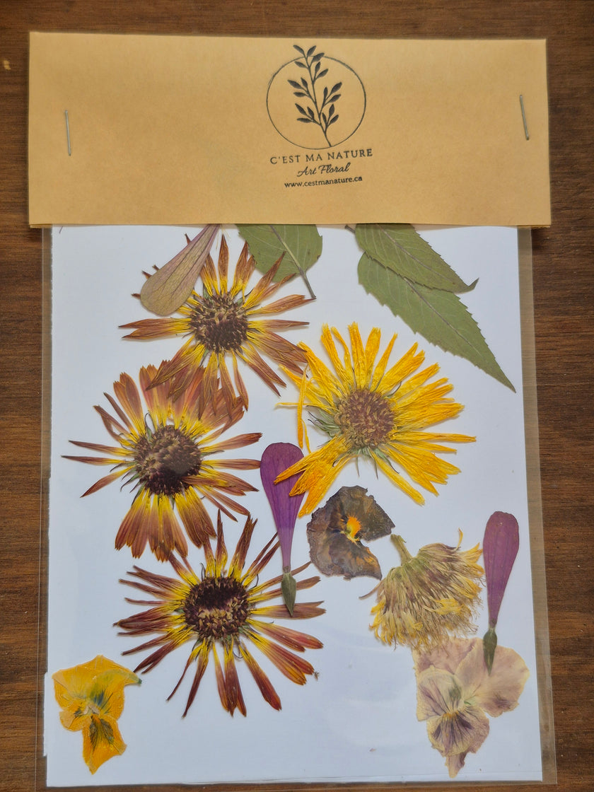 Sachets de fleurs pressées naturelles