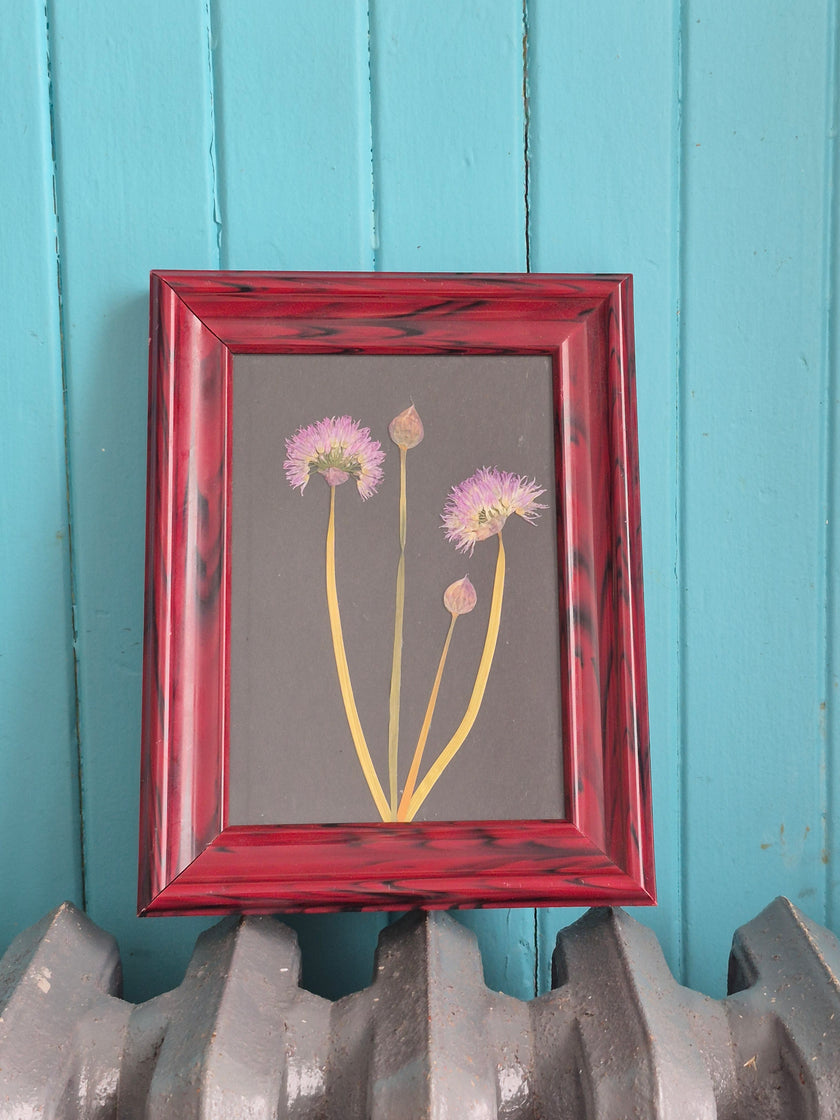 Cadre floral Ciboulette