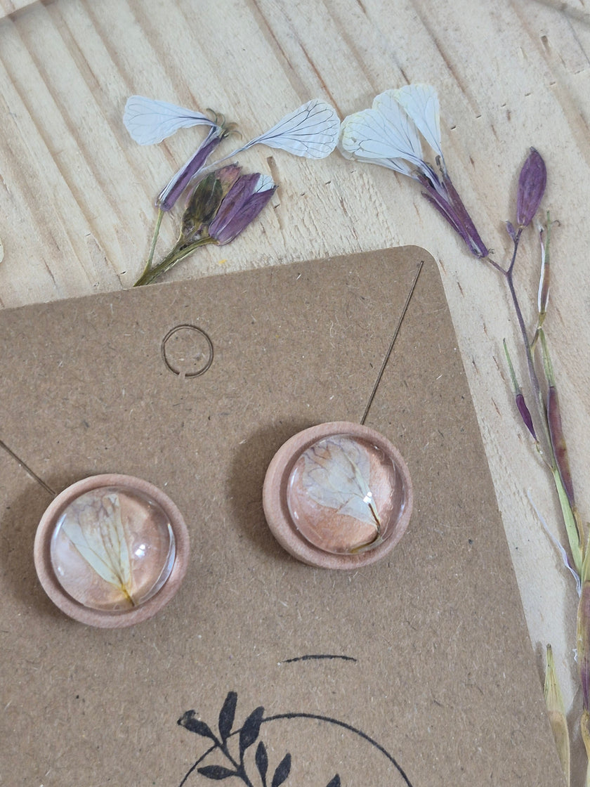 Boucle d'oreilles 