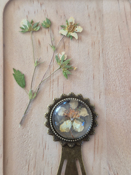 Marque-page vintage - Fraisier