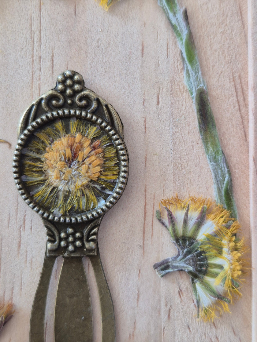 Marque-page vintage - Tussilage
