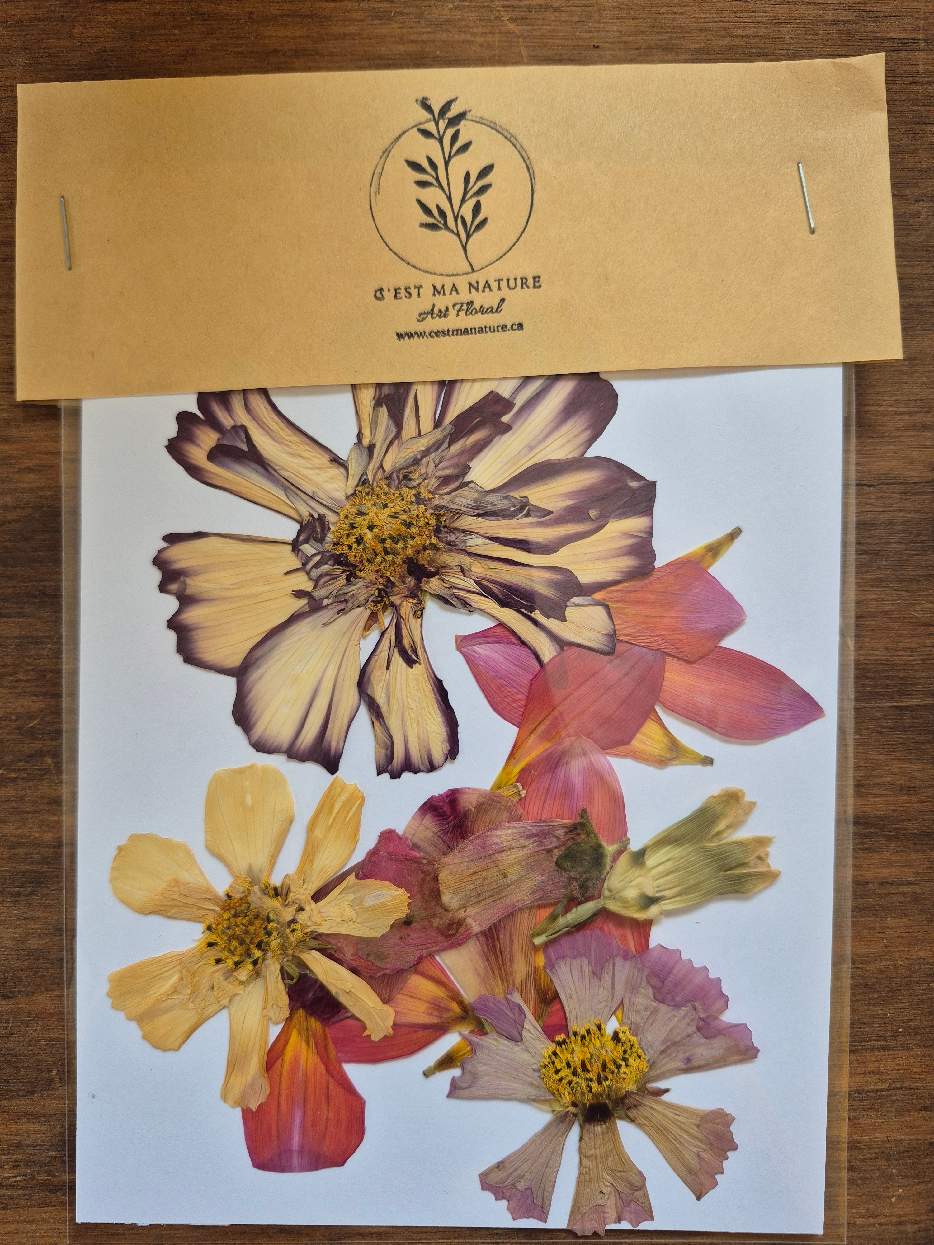 Sachets de fleurs pressées naturelles