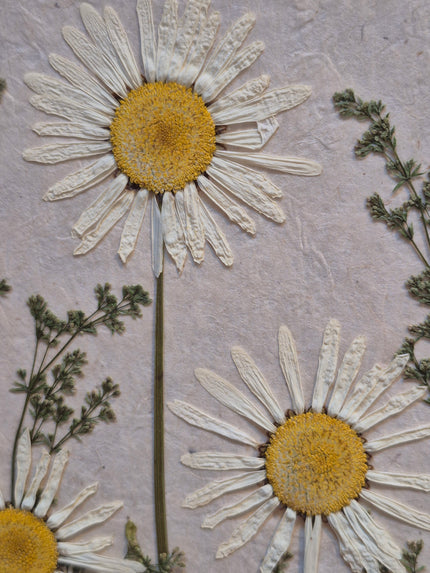 Composition florale artisanale sur papier Lokta 