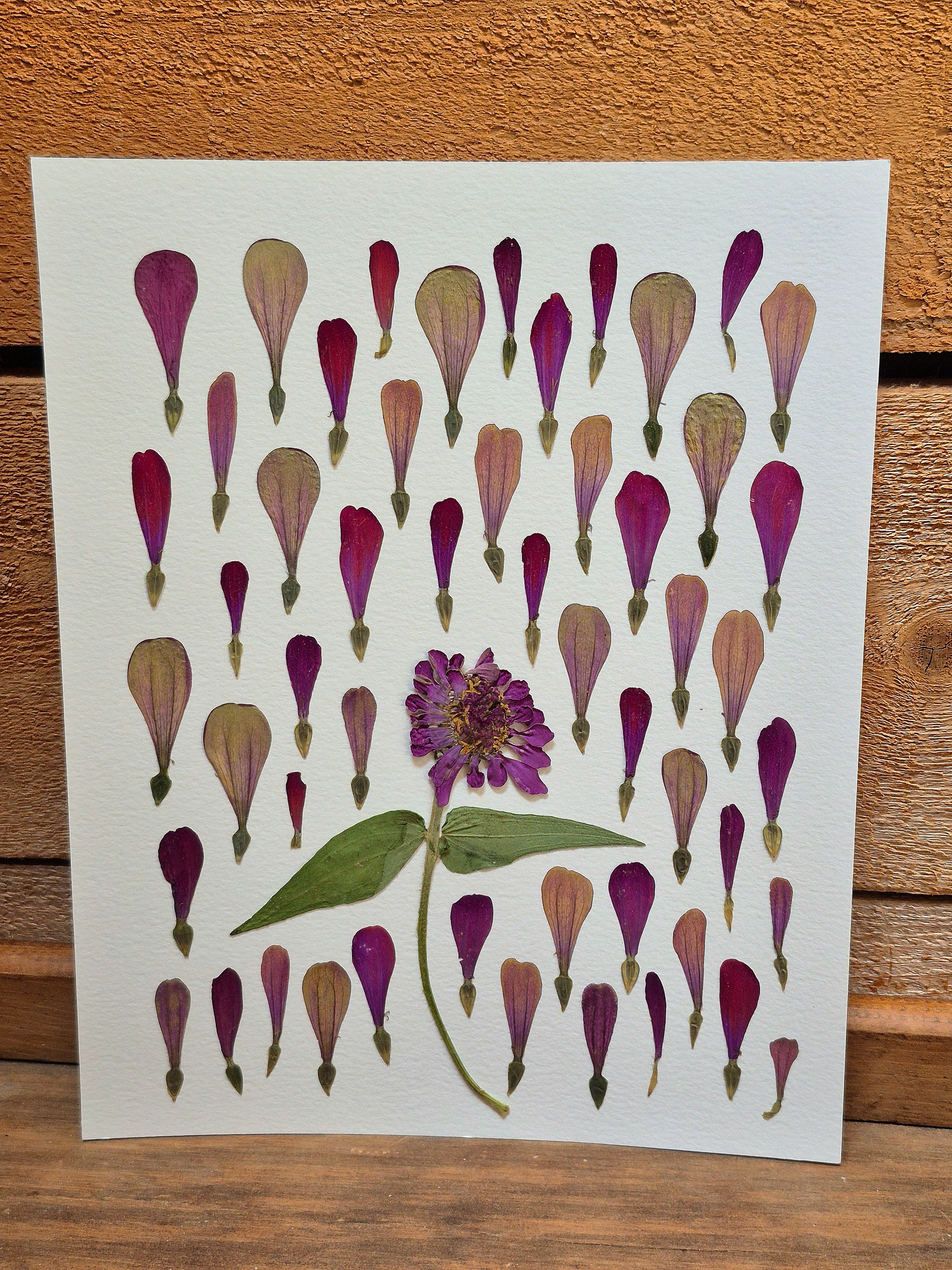 Oeuvre florale - Montgolfières