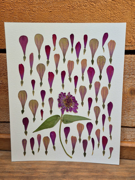 Oeuvre florale - Montgolfières