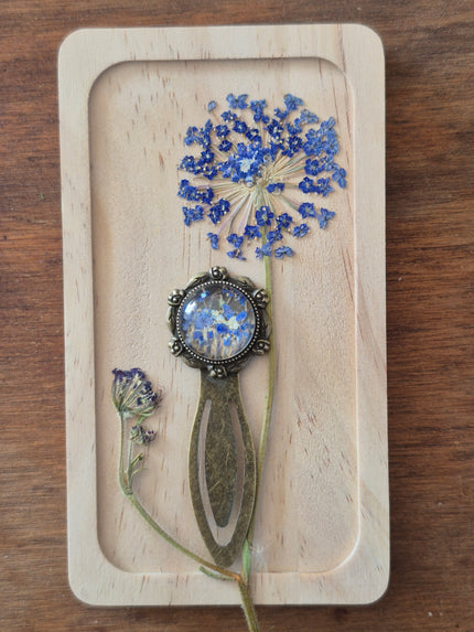 Marque-page vintage - Didiscus