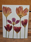 Oeuvre florale - Simplement Tulipes