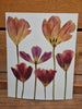 Oeuvre florale - Simplement Tulipes