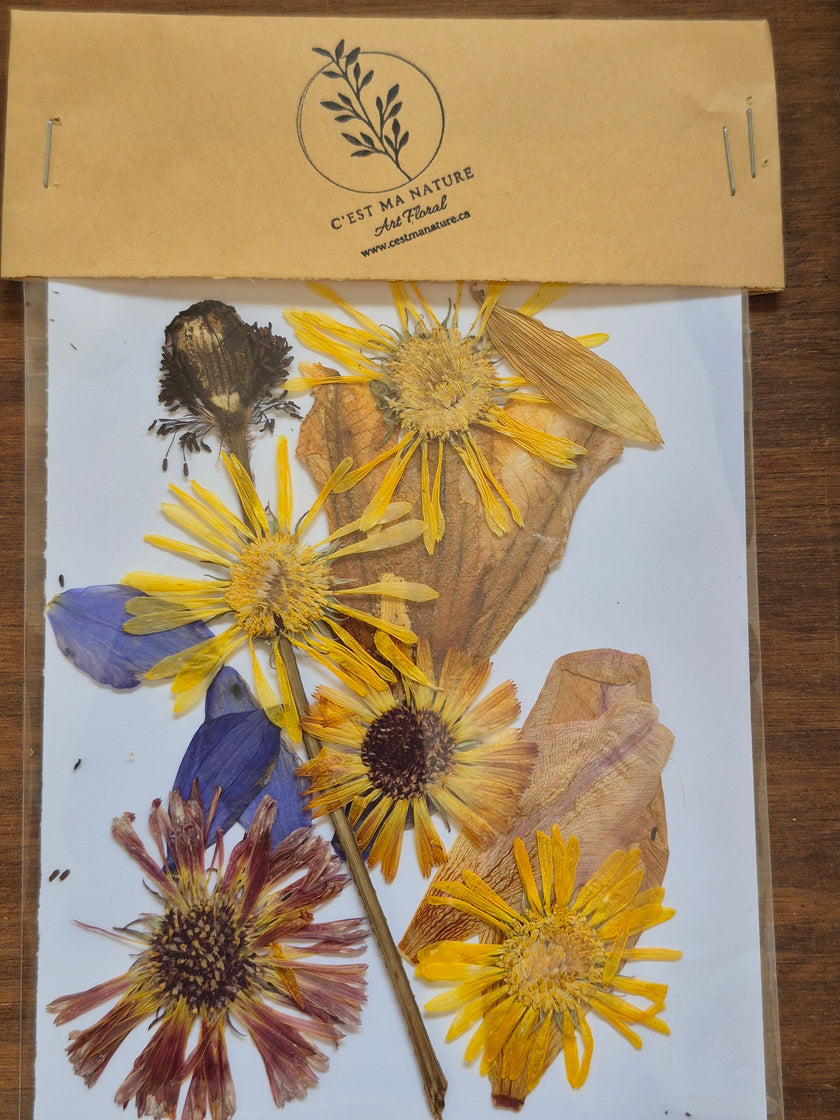 Sachets de fleurs pressées naturelles