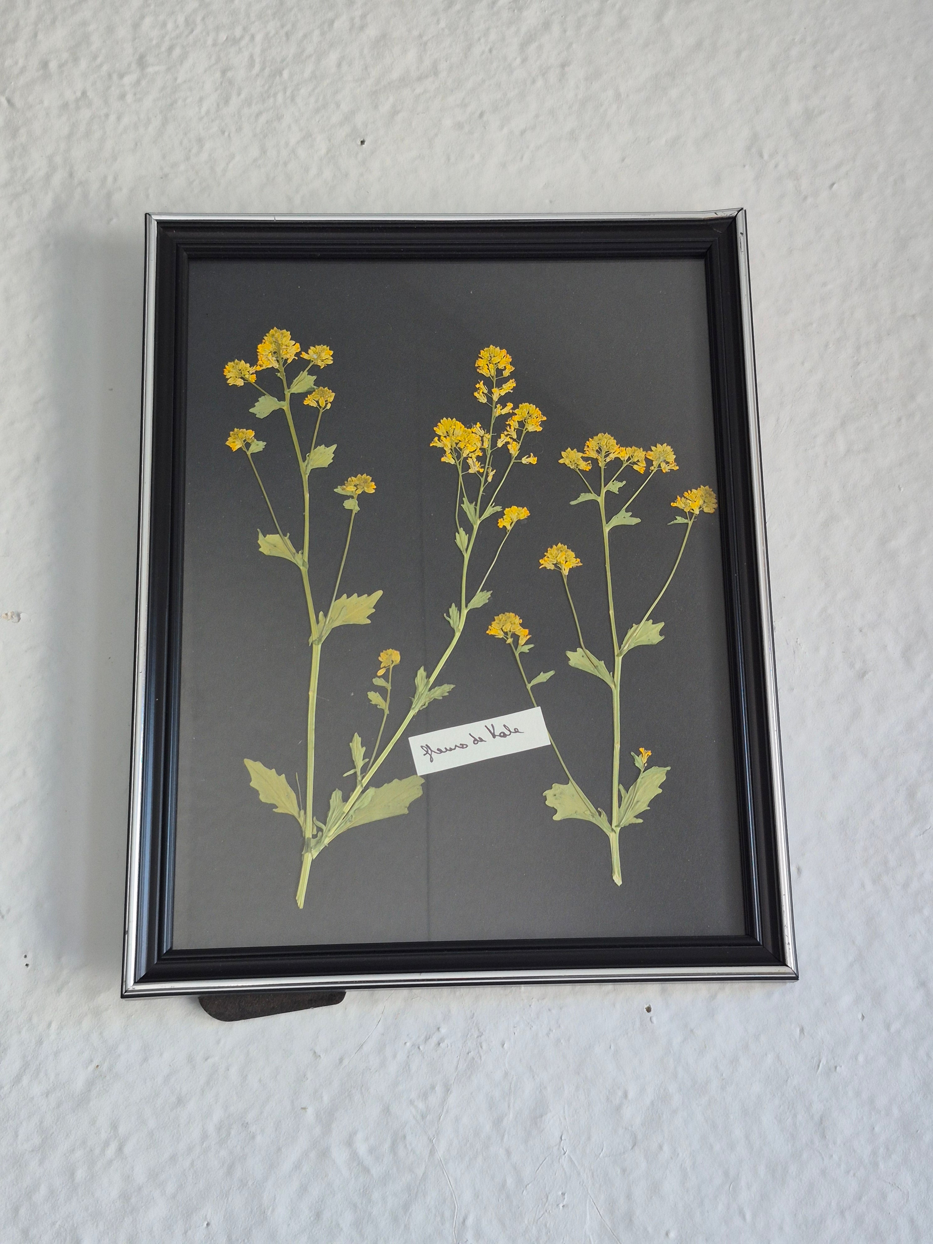 Cadre floral fleurs de kale II