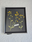 Cadre floral fleurs de kale II