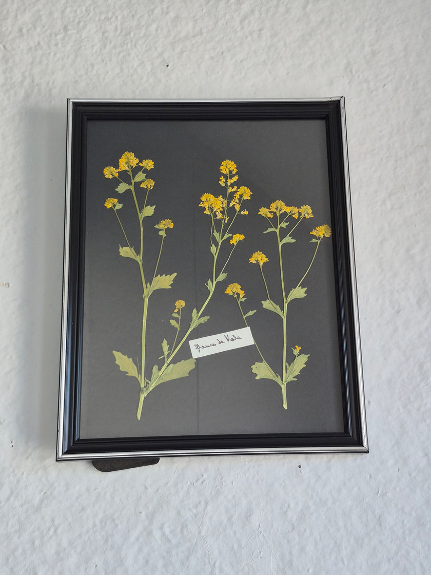 Cadre floral fleurs de kale II