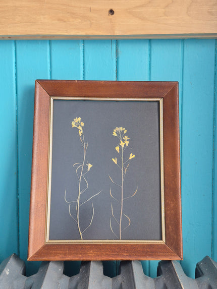 Cadre floral fleurs de kale III