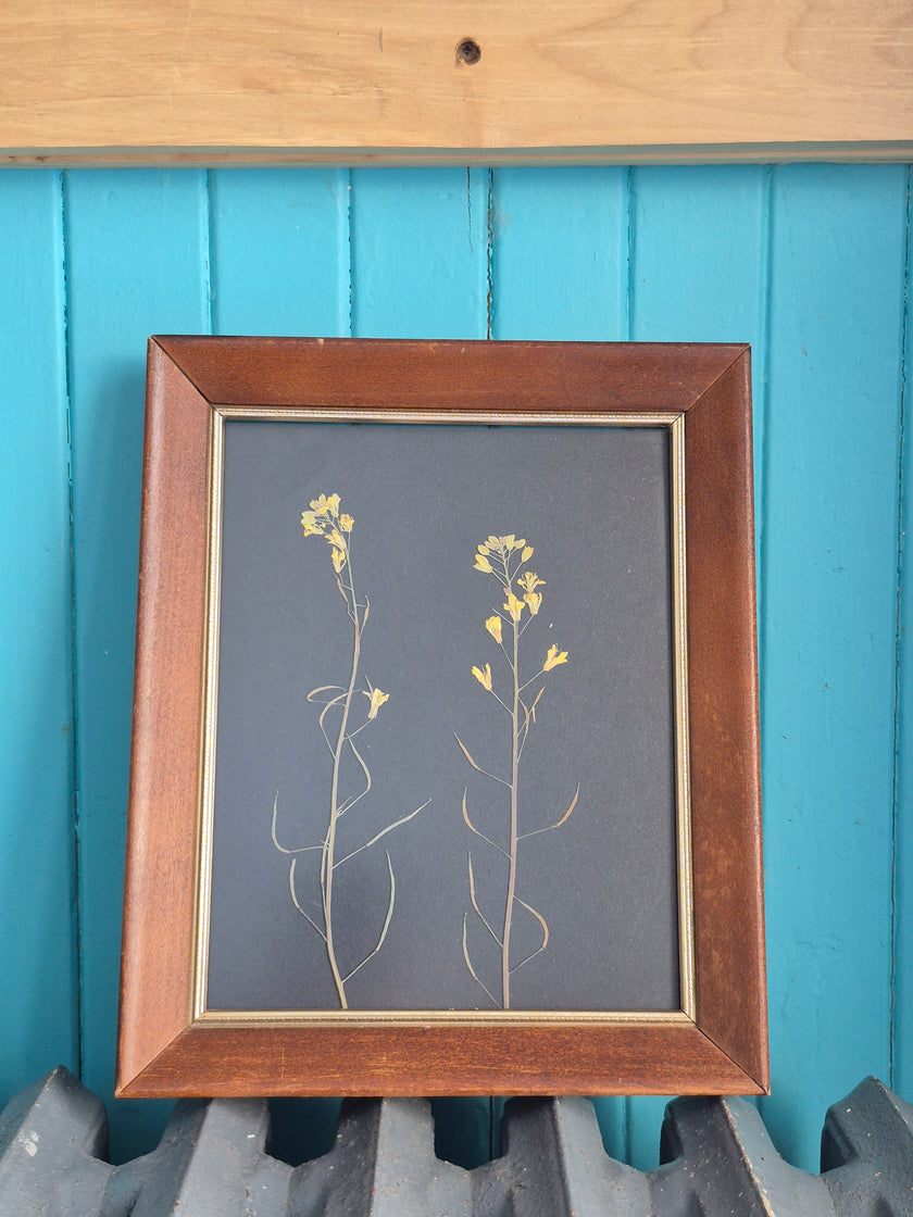 Cadre floral fleurs de kale III