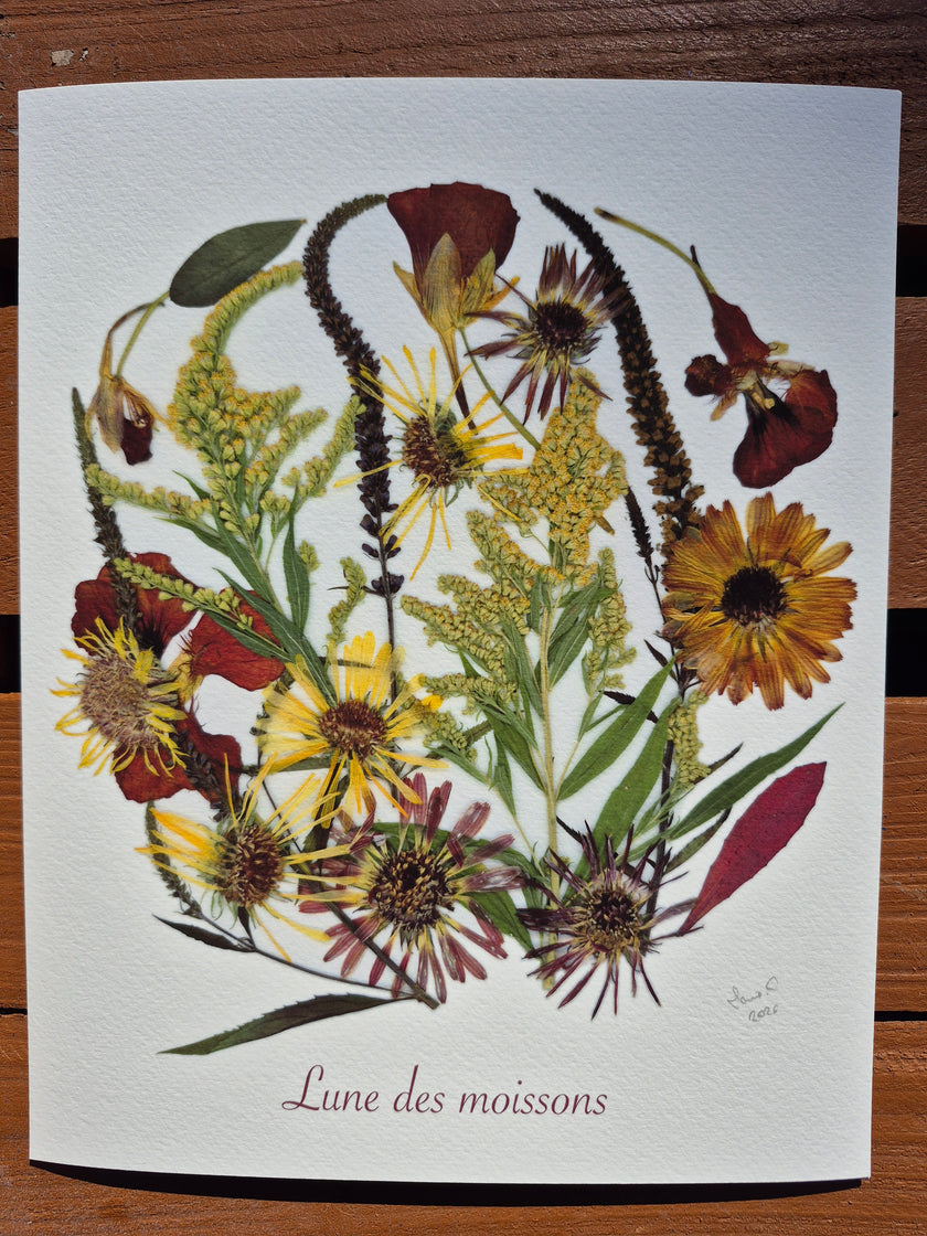 Oeuvre florale - Lune des moissons