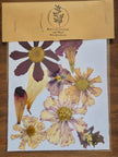 Sachets de fleurs pressées naturelles