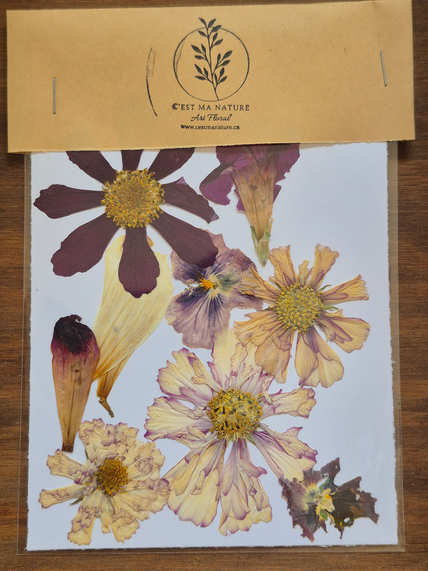 Sachets de fleurs pressées naturelles