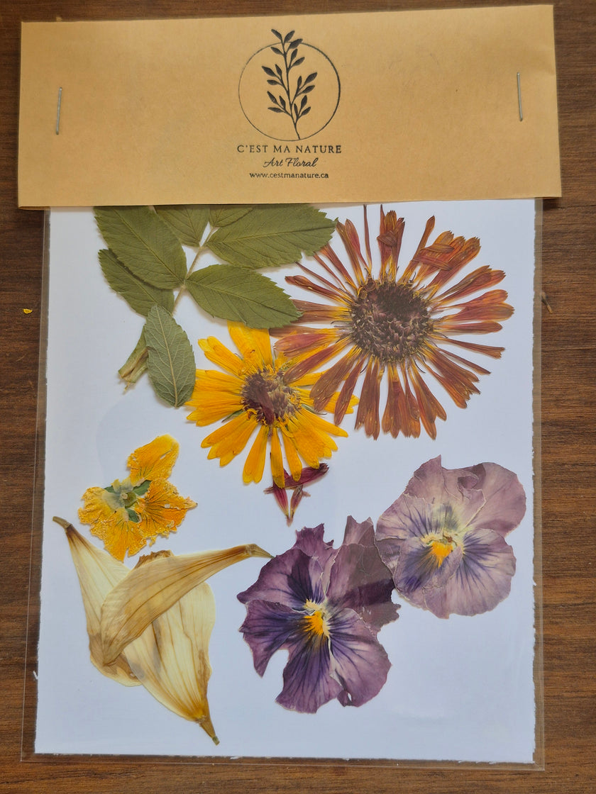 Sachets de fleurs pressées naturelles