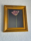 Cadre floral tulipe II