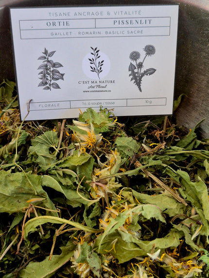 Tisane Ancrage & vitalité